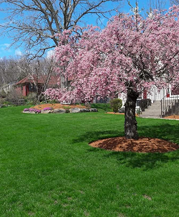 New England Green Lawn Care